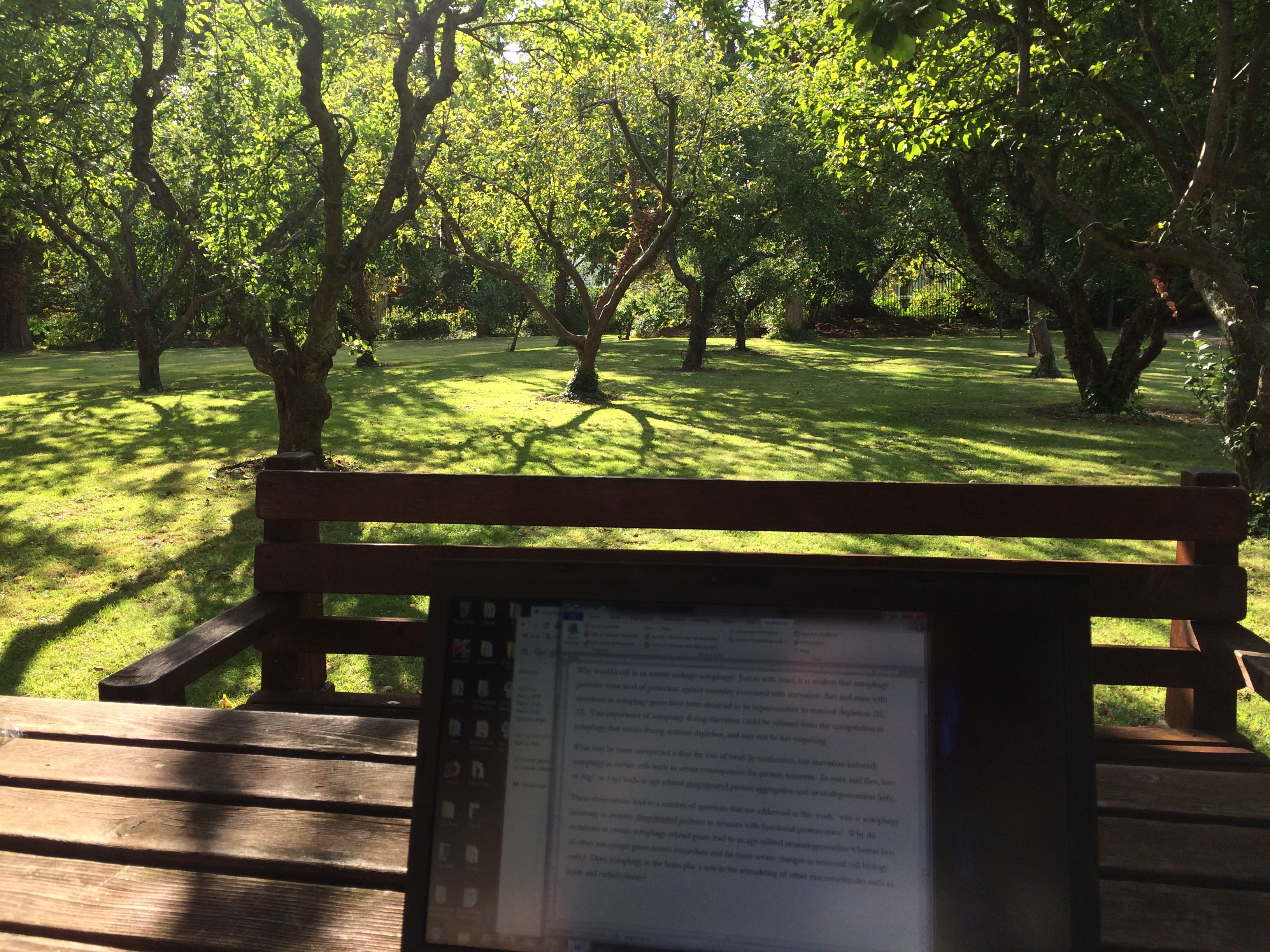 writing in the orchard