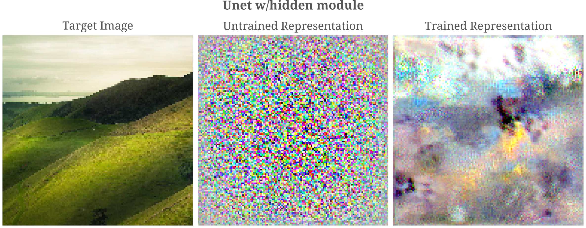 unet hidden module representation