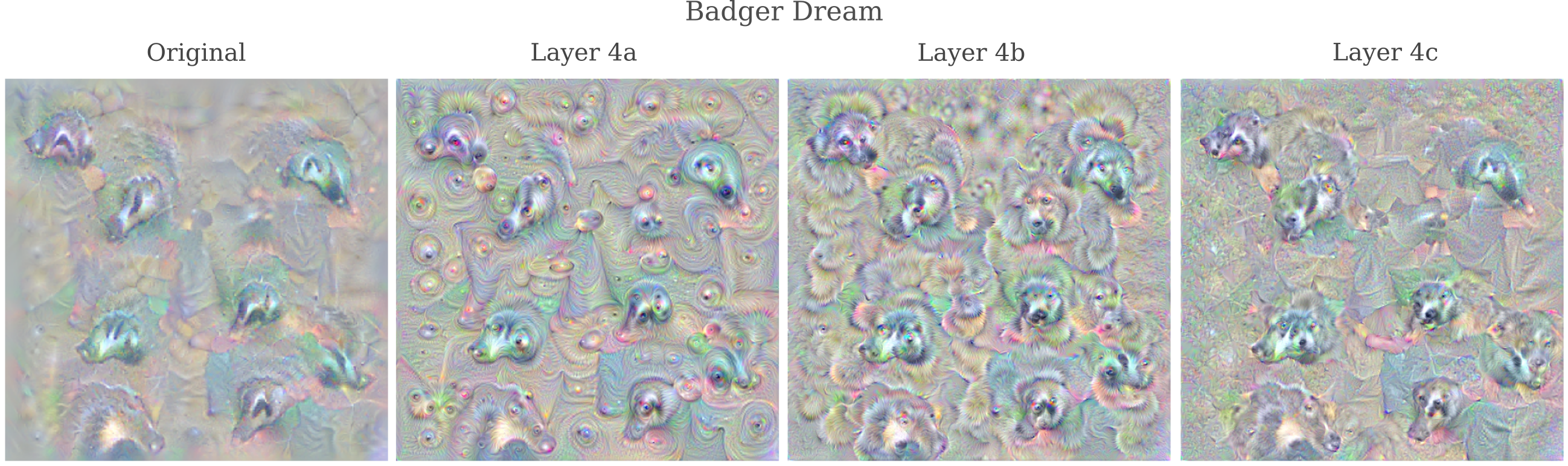 deep dream badger