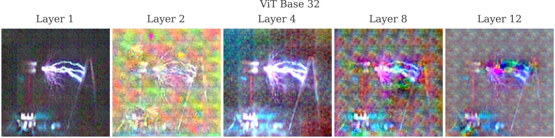 vision transformer layer representations